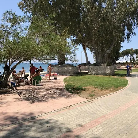 Happyharbor Cyprus *